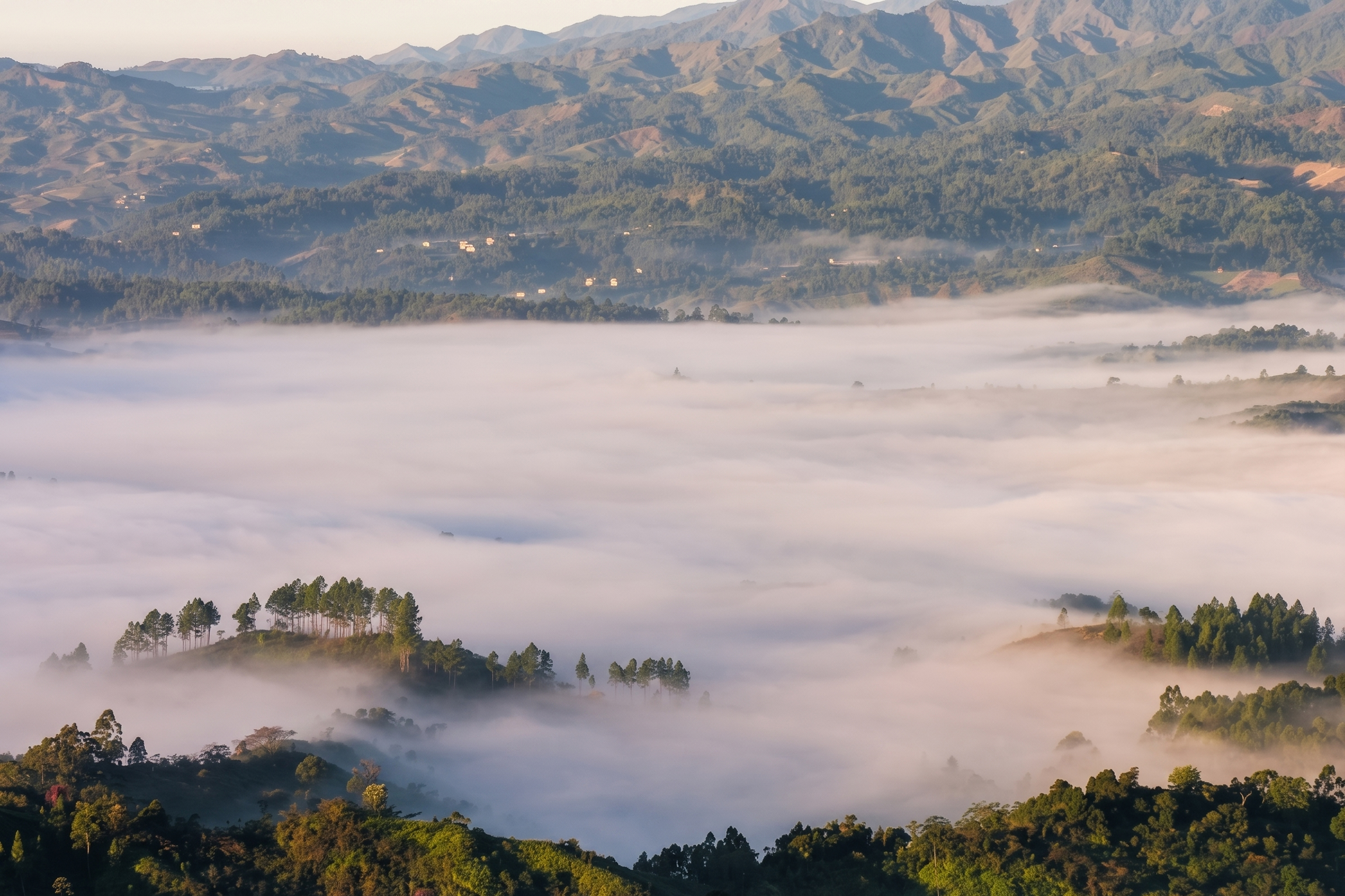 Valle de Constanza